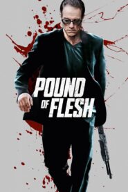 Pound of Flesh 2015 one on netflix