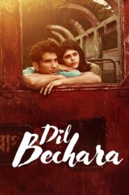 Dil Bechara 2020 one on netflix