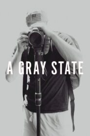 A Gray State 2017 one on netflix