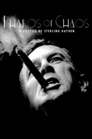Pharos of Chaos 1983 one on netflix