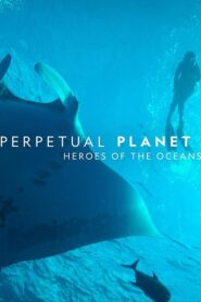 Perpetual Planet: Heroes of the Oceans 2021 one on netflix
