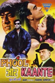 Phool Aur Kaante 1991 one on netflix