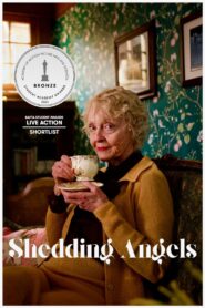 Shedding Angels 2022 one on netflix
