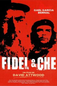 Fidel 2002 one on netflix