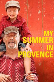 My Summer in Provence 2014 one on netflix