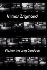 Vilmos Zsigmond Flashes ‘The Long Goodbye’ 2002 one on netflix