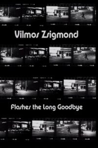 Vilmos Zsigmond Flashes ‘The Long Goodbye’ 2002 one on netflix