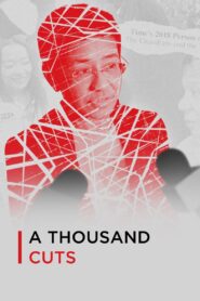 A Thousand Cuts 2020 one on netflix