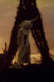 The Rites Of Mu 1991 one on netflix