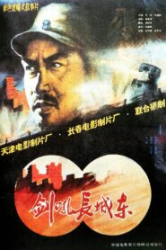 剑吼长城东 1990 one on netflix