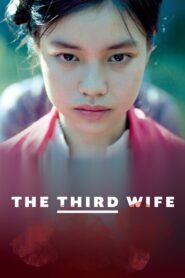 The Third Wife 2019 one on netflix