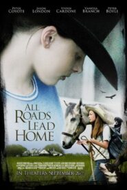 All Roads Lead Home 2008 one on netflix