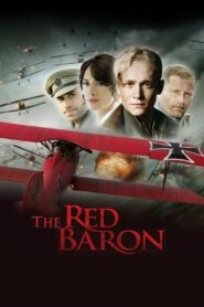 The Red Baron 2008 one on netflix