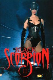 Black Scorpion II: Aftershock 1997 one on netflix