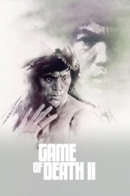 Game of Death II 1981 one on netflix