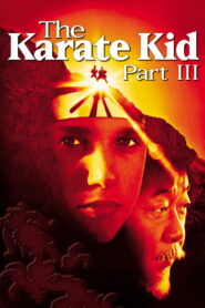 The Karate Kid Part III 1989 one on netflix