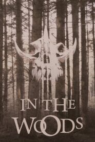 In the Woods 1999 one on netflix