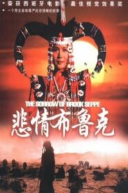 The Sorrow of Brook Steppe 1995 one on netflix