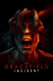 The Gracefield Incident 2017 one on netflix