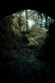 The Beast 2013 one on netflix