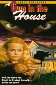 A Gun in the House 1981 one on netflix