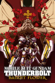 Mobile Suit Gundam Thunderbolt: Bandit Flower 2017 one on netflix