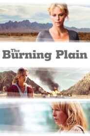 The Burning Plain 2008 one on netflix