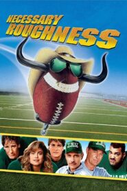 Necessary Roughness 1991 one on netflix