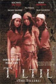Tiltil 2008 one on netflix
