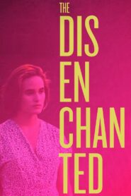 The Disenchanted 1990 one on netflix
