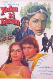 Yadon Ki Kasam 1985 one on netflix