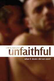 Unfaithful 2009 one on netflix