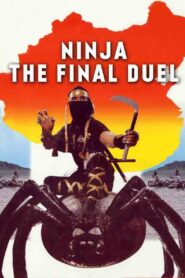 Ninja the Final Duel 1986 one on netflix