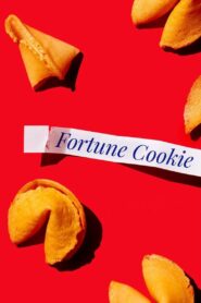 Fortune Cookie 1991 one on netflix