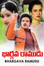 Bhargava Ramudu 1987 one on netflix