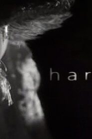 Harvey 2002 one on netflix