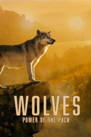 Wolves: Power of the Pack 2022 one on netflix