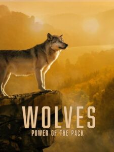 Wolves: Power of the Pack 2022 one on netflix