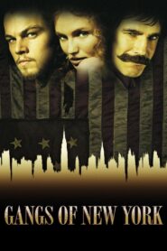 Gangs of New York 2002 one on netflix