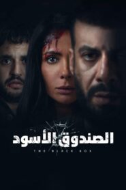 The Black Box 2020 one on netflix