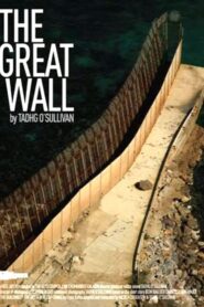 The Great Wall 2015 one on netflix