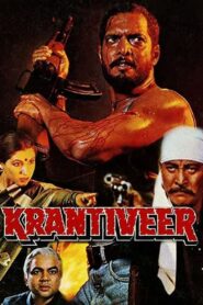 Krantiveer 1994 one on netflix