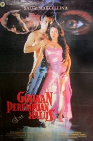 The Temptation of a Fine Woman 1993 one on netflix