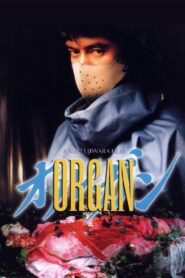 Organ 1996 one on netflix