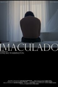 Immaculate 2013 one on netflix