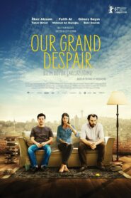 Our Grand Despair 2011 one on netflix