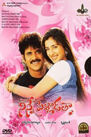 Ninne Pelladatha 1996 one on netflix