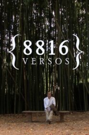 8816 Versos 2013 one on netflix