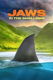 Jaws in the Shallows 2023 one on netflix