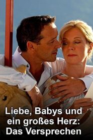 Liebe, Babys und ein großes Herz – Das Versprechen 2008 one on netflix
